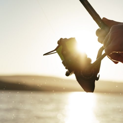 Current Trends and Conservation Efforts in the Fishing World