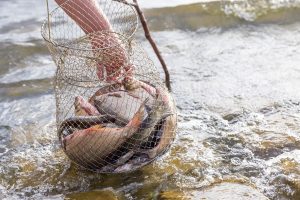 Latest fishing technology