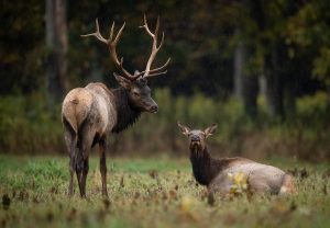 Top hunting destinations in the U.S.