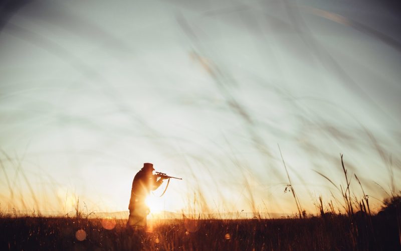 Top Hunting Locations for Beginners in the U.S.