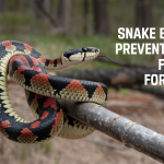 Snake bite prevention tips