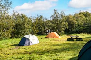 Group of hiker tents camping on lawn of campground in the forest on summer at national park. Leisure acitivity, Recreational pursuit