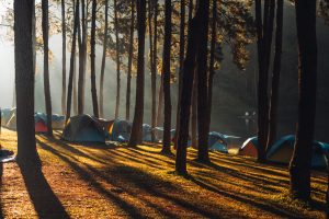 Reservoir and pine trees in the morning in the park and camping area,Golden light and mist on the water in the morning