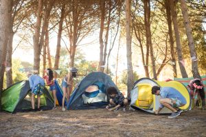 Young friends setting up their tents on field at countryside